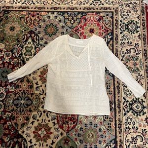 Semi sheer Velvet blouse